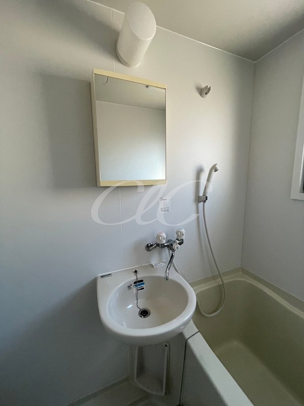 ワンステップ花畑 その他2