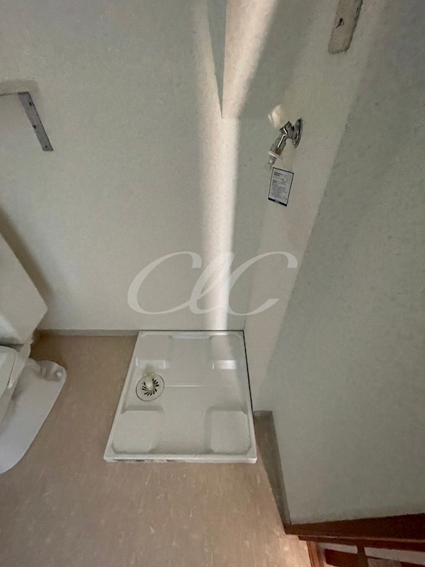 ワンステップ花畑 その他3