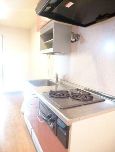 レクエルド・F キッチン