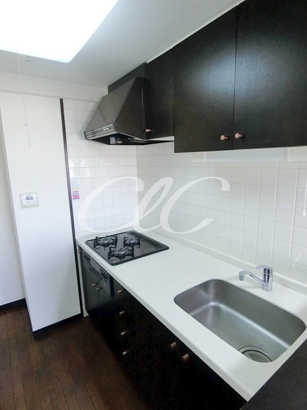 グリーンハイム平成  キッチン