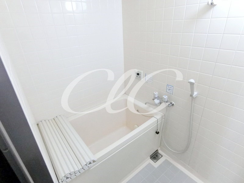 グリーンハイム平成  風呂画像