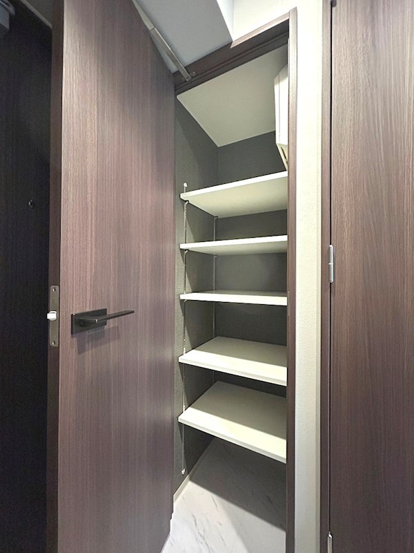 グランカーサ曳舟 玄関