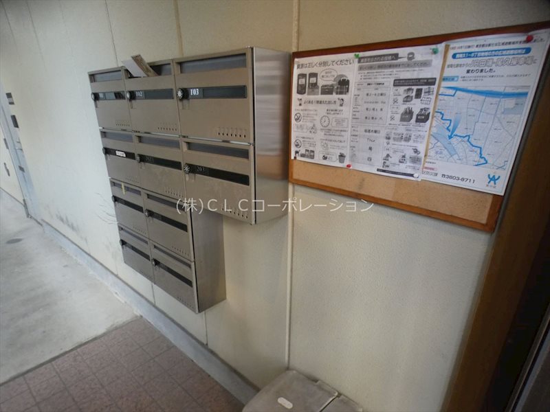 スプリング・サン その他1