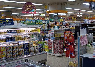 コスモスパジオ東大島  周辺画像6