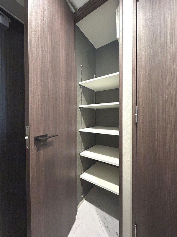 グランカーサ曳舟 玄関