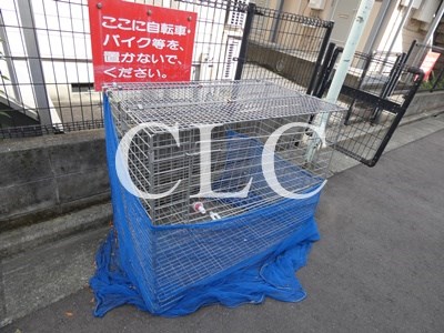 サンステップA その他2