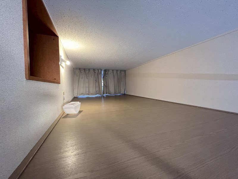 ピークシーダー   その他5