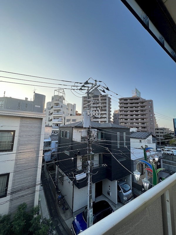 ピークシーダー   その他6