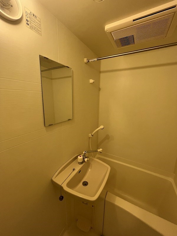 ピークシーダー   その他2