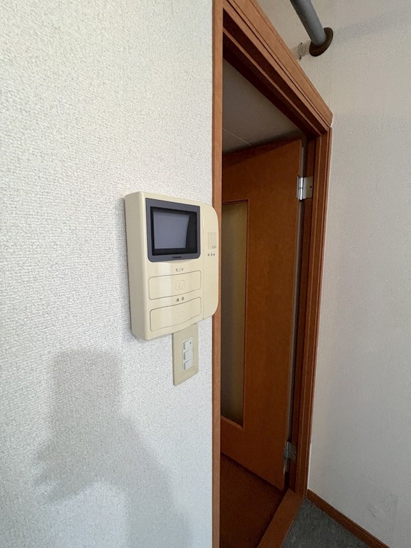 ピークシーダー   その他4