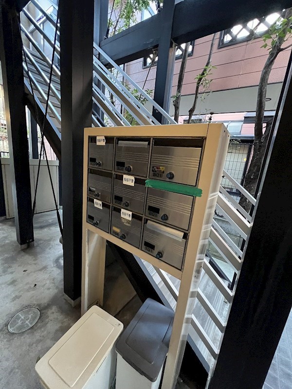 ピークシーダー   その他7