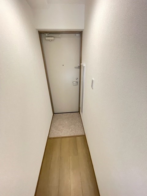 センターパーク平井Ⅴ  玄関