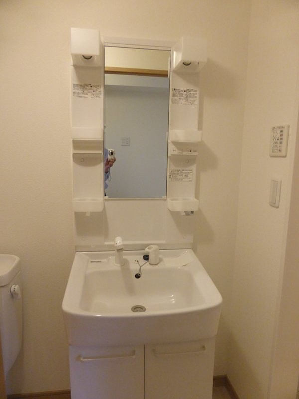 プルメリア その他1