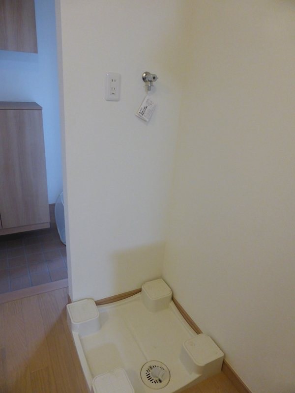 プルメリア その他2