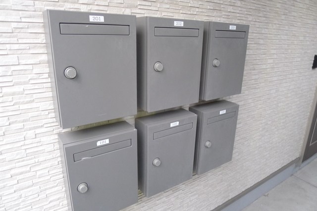 プルメリア その他6