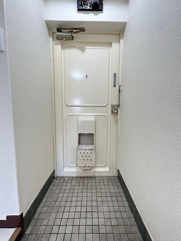 ニューシャトレーマンション 玄関