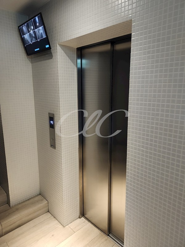 エルスタンザ清澄白河 その他8