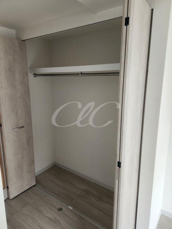 エルスタンザ清澄白河 その他2