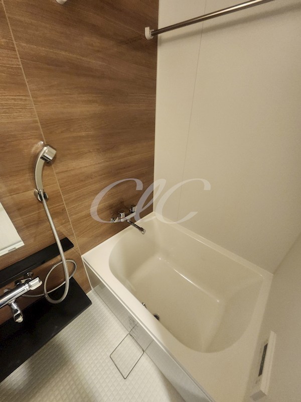 エルスタンザ清澄白河 風呂画像