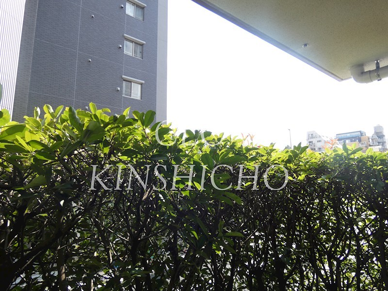 ソネットⅡ その他4