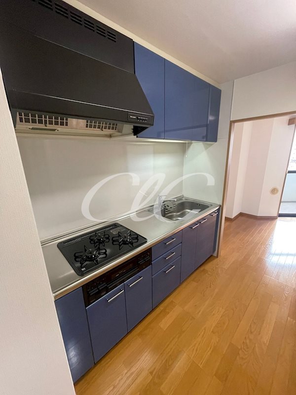 コンフィール西新井A.P キッチン