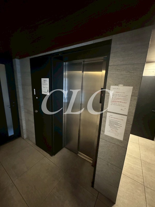 ラヴィータ東上野 その他6