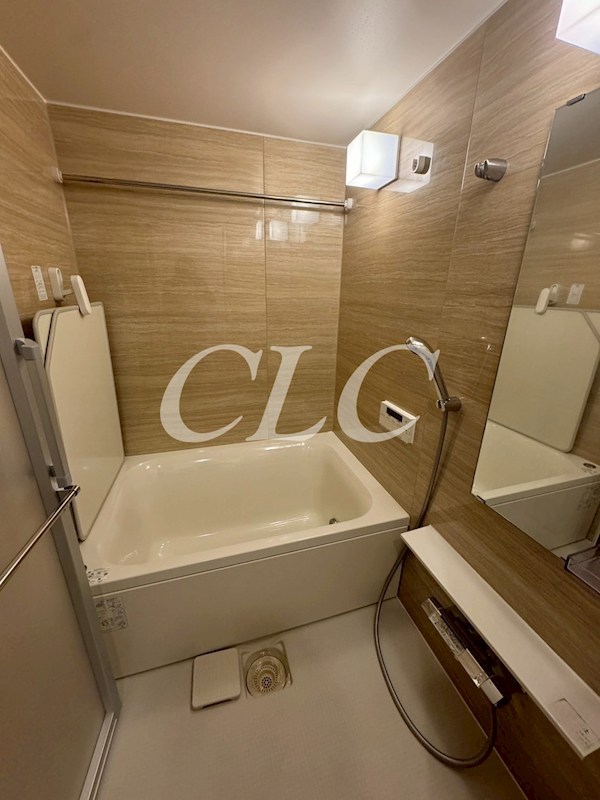 ラヴィータ東上野 風呂画像