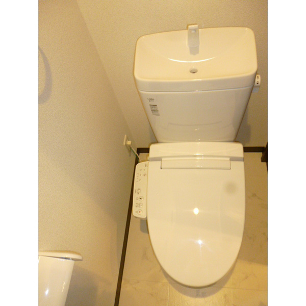 Loutus haruecho その他1