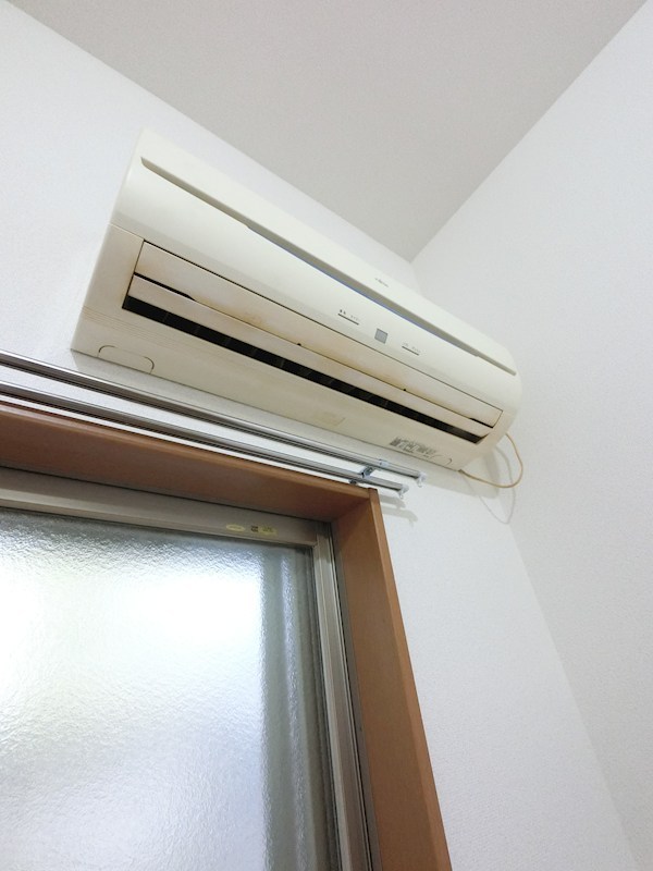 セードルエイキ その他12