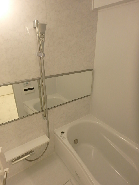 ＳＯＣＩＥＴＹ　ＫＩＹＯＳＵＭＩ－ＳＨＩＲＡＫＡＷＡ   風呂画像