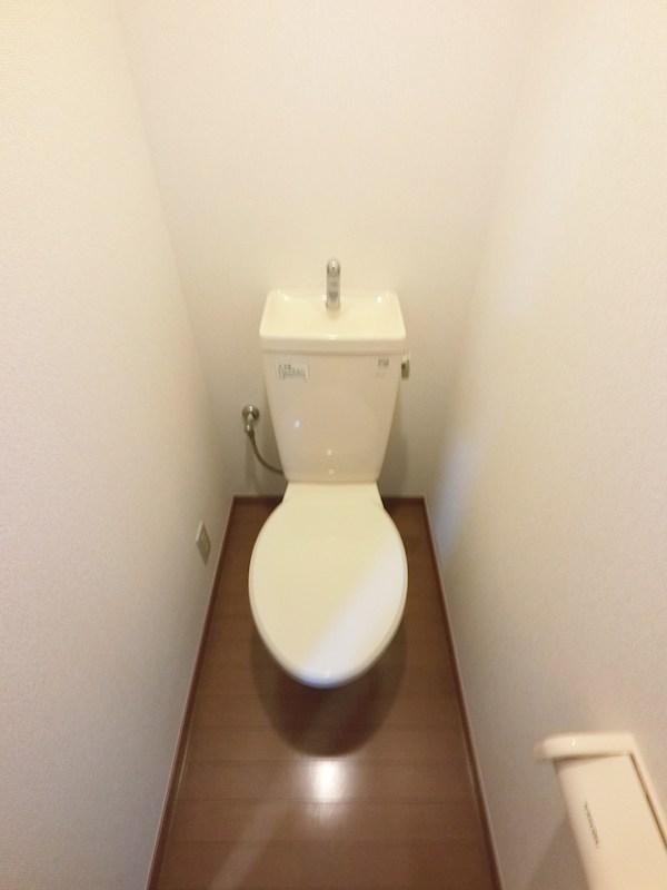 セードルエイキ その他2