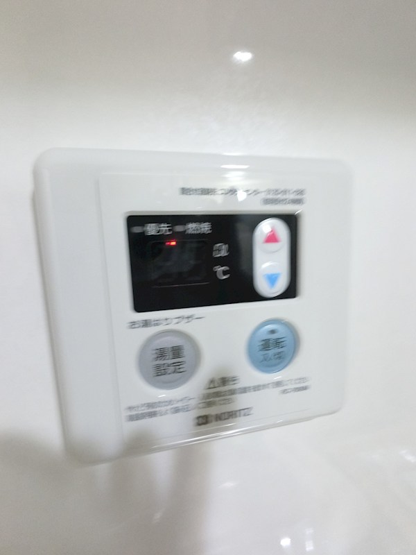 セードルエイキ その他10