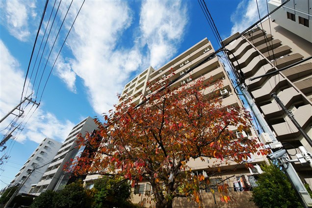 ニューガイアリルーム葛西駅南No,20 607号室 外観