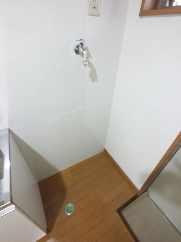 セードルエイキ その他4