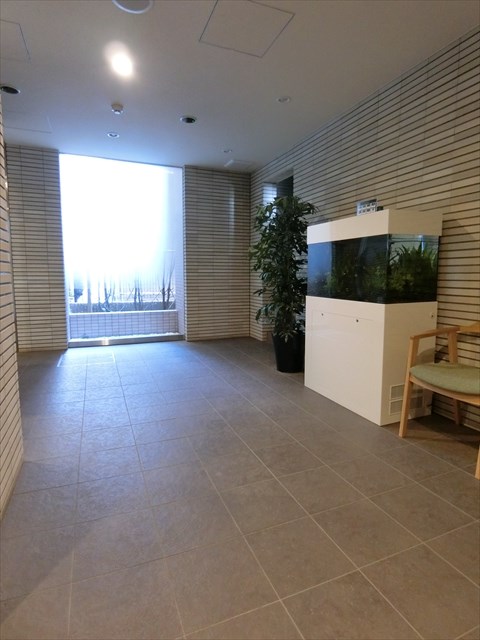 ステラ北進  その他2