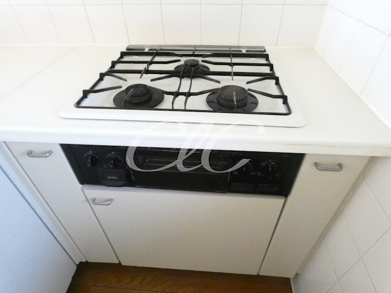 エクセルコート その他3