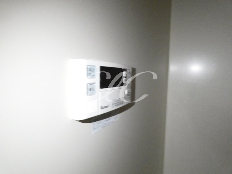 エクセルコート その他10