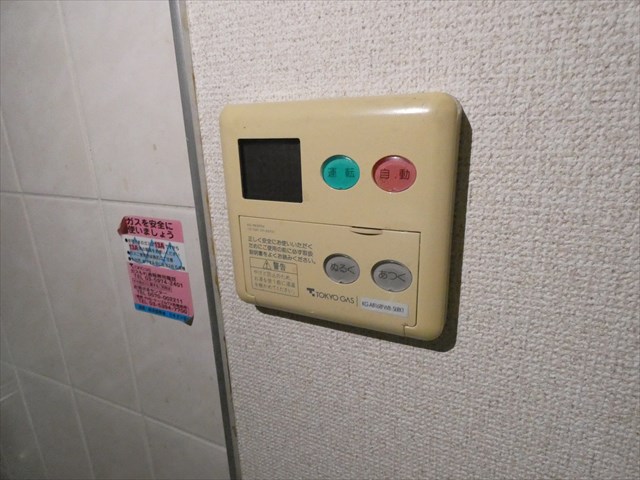 アロックス王子 その他13