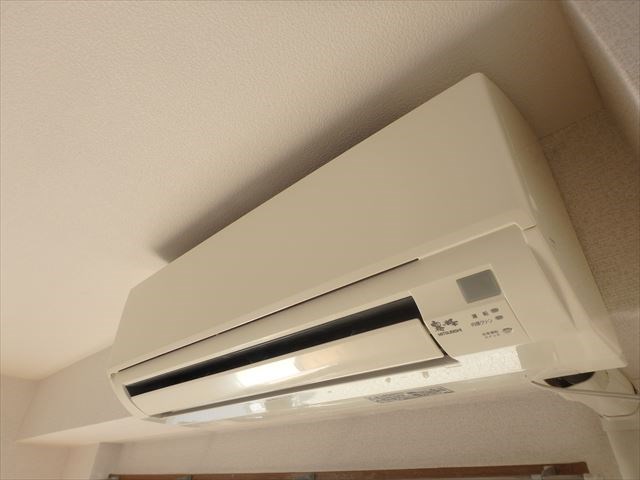 チセ・ムジュール その他5