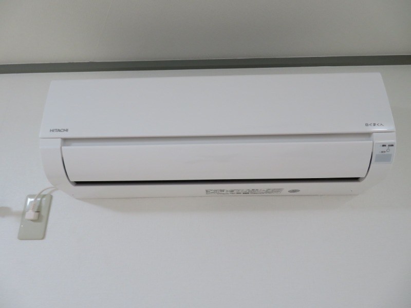 ビッグウッドⅡ その他4