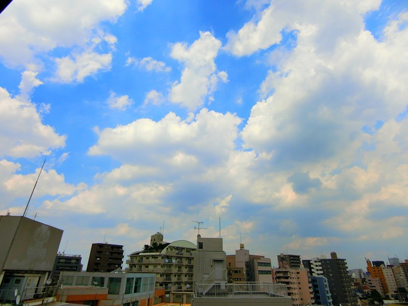 コスモリード西日暮里 その他9