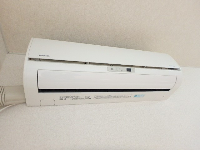 ヴィオラ その他1