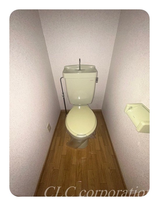 ヴィオラ その他4