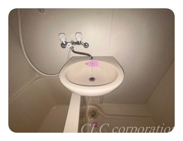 ヴィオラ その他5