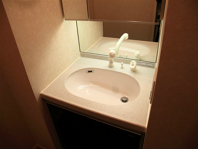 ロイヤルパークス西新井    その他1