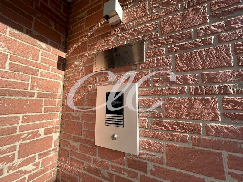 ピエールマルミットI その他9