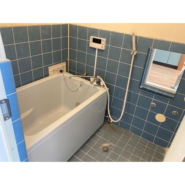 ワコー第9梅田マンション 風呂画像