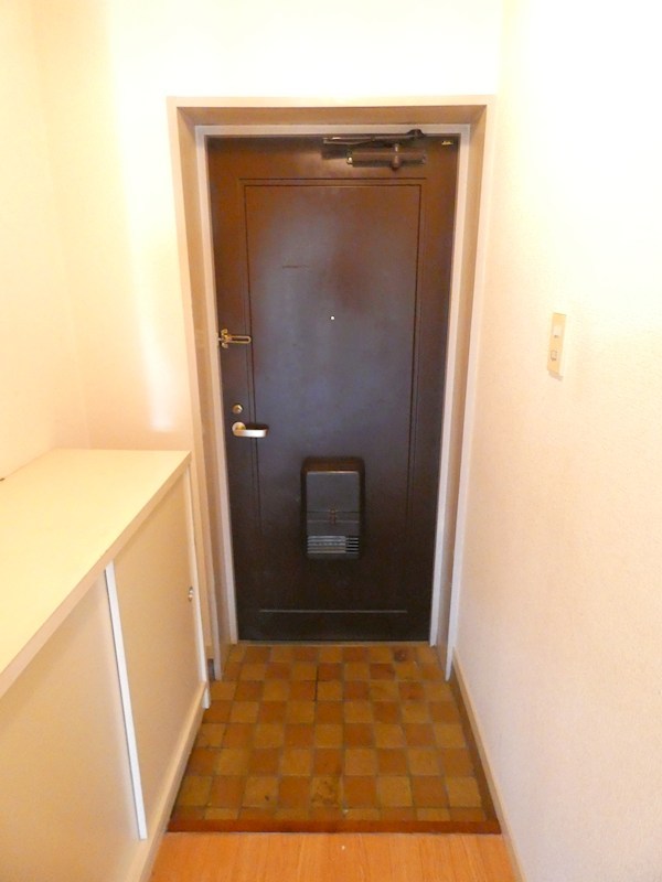 グランシェール市川 玄関