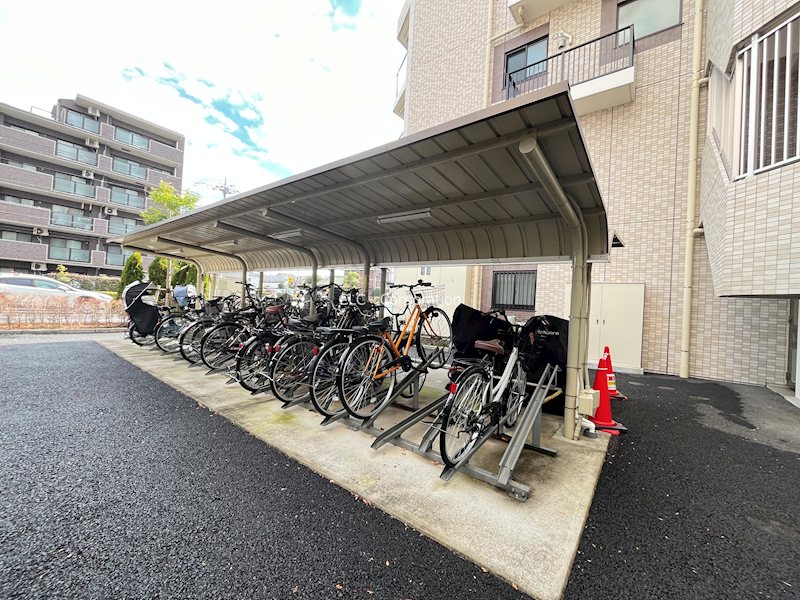 コルザＫⅡ その他7