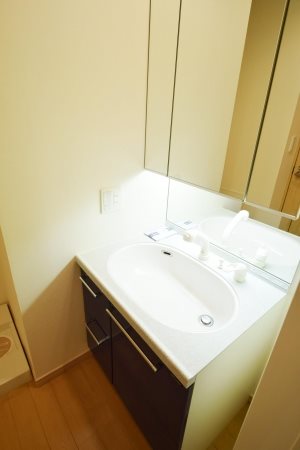 ロイヤルパークス豊洲  その他5